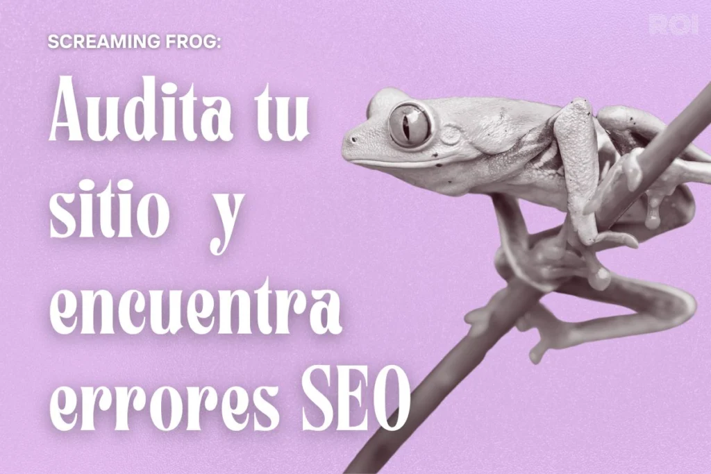 guia paso a paso screaming frog