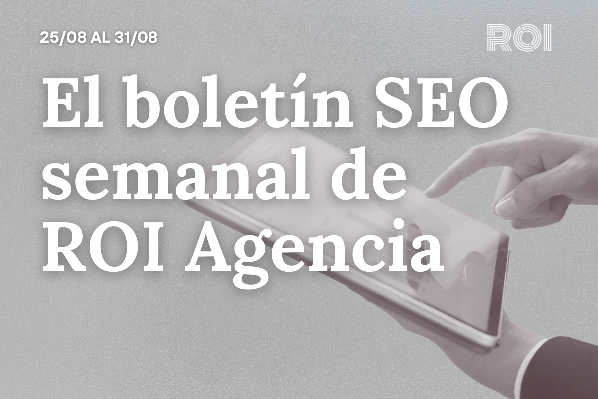 boletín seo agosto